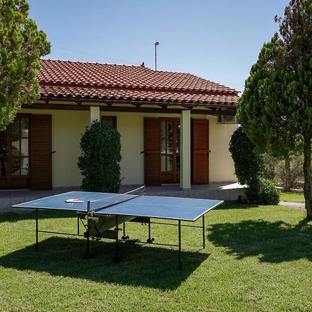 Lefkothea Villas With Large Pool, Bbq & Playground Adelianos Kampos Dış mekan fotoğraf